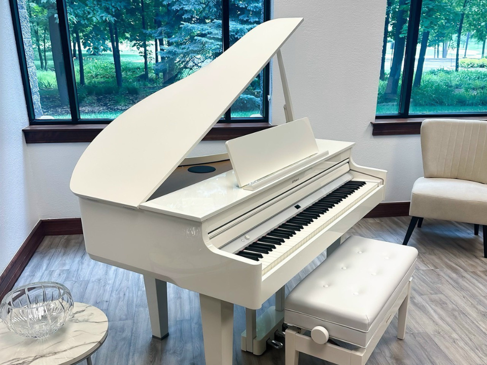 Hình ảnh chi tiết ROLAND GP-607 PW góc chụp 2